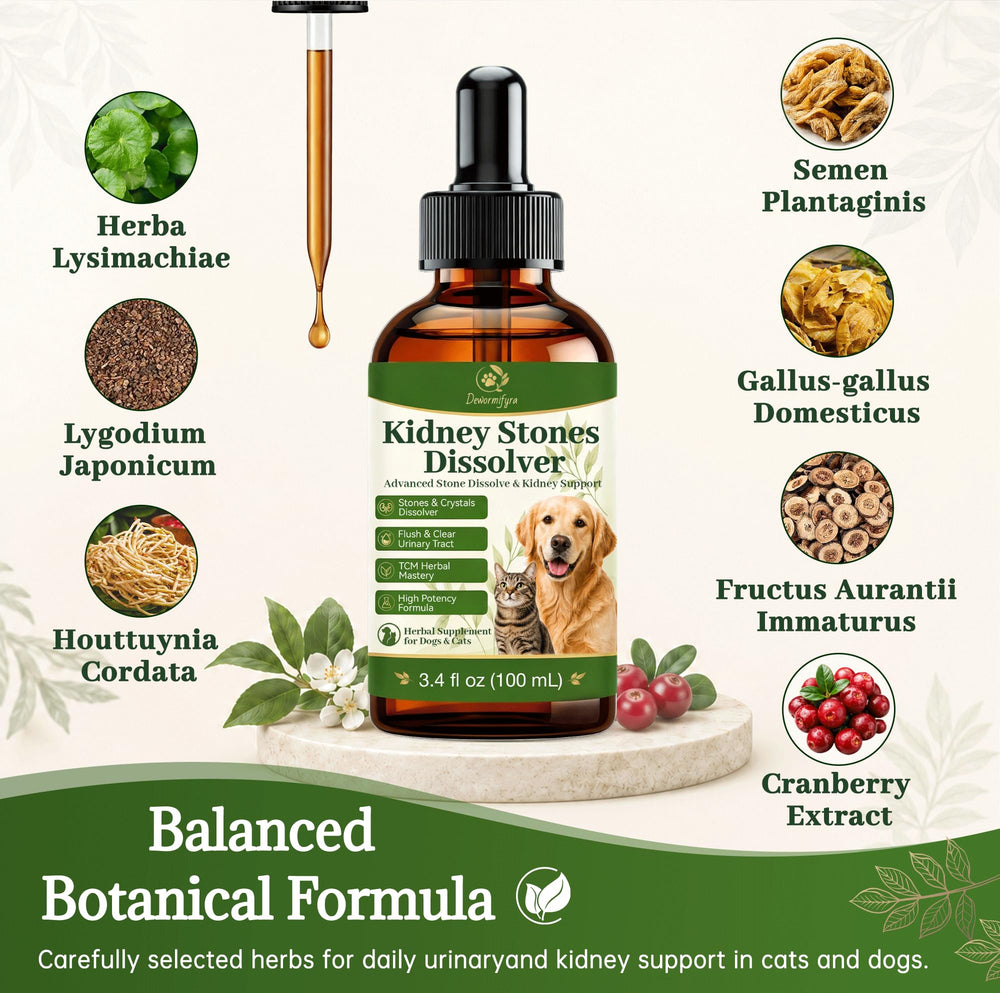 Dewormifyra texture en gouttes illustre liquide concentré pour administration facile