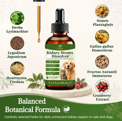 Dewormifyra texture en gouttes illustre liquide concentré pour administration facile