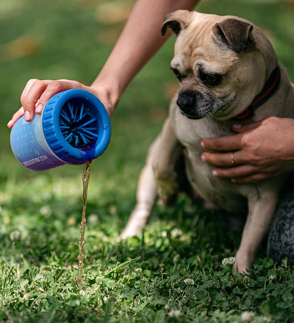 Dexas MudBuster contenant boue et débris pour nettoyage sans salissure