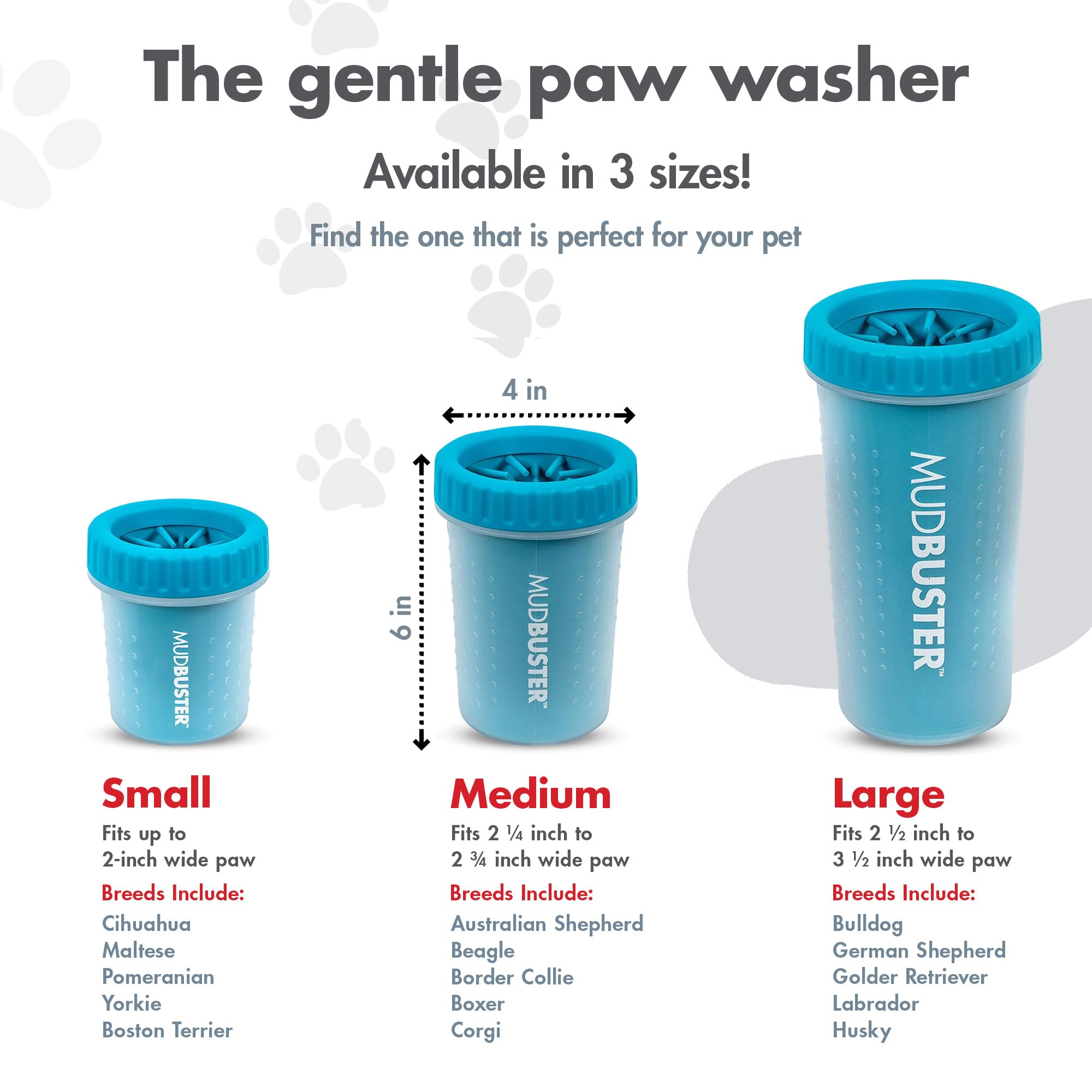 Dexas MudBuster en utilisation, chien à l'entrée nettoyé sans salir la maison