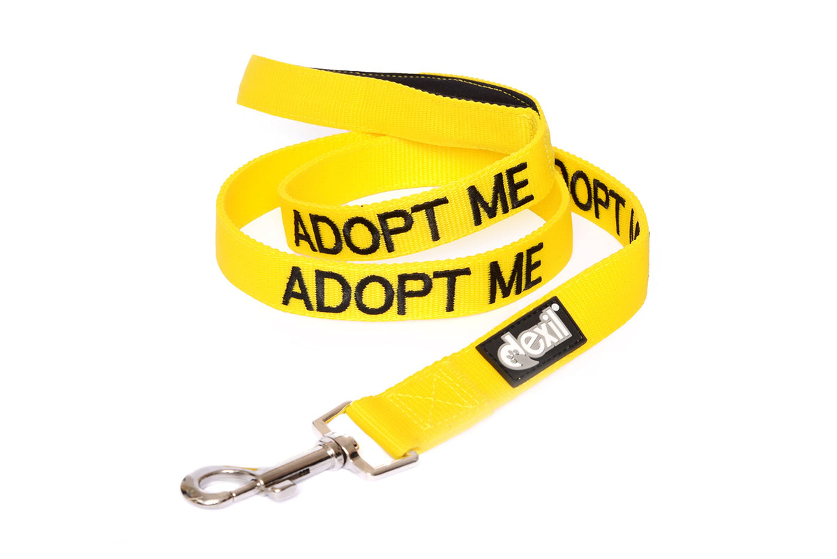 Dexil laisse Adopt ME jaune face avant montrant robustesse et visibilité
