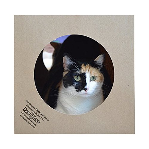 Dezi Roo tunnel en usage avec chat jouant et stimulation active
