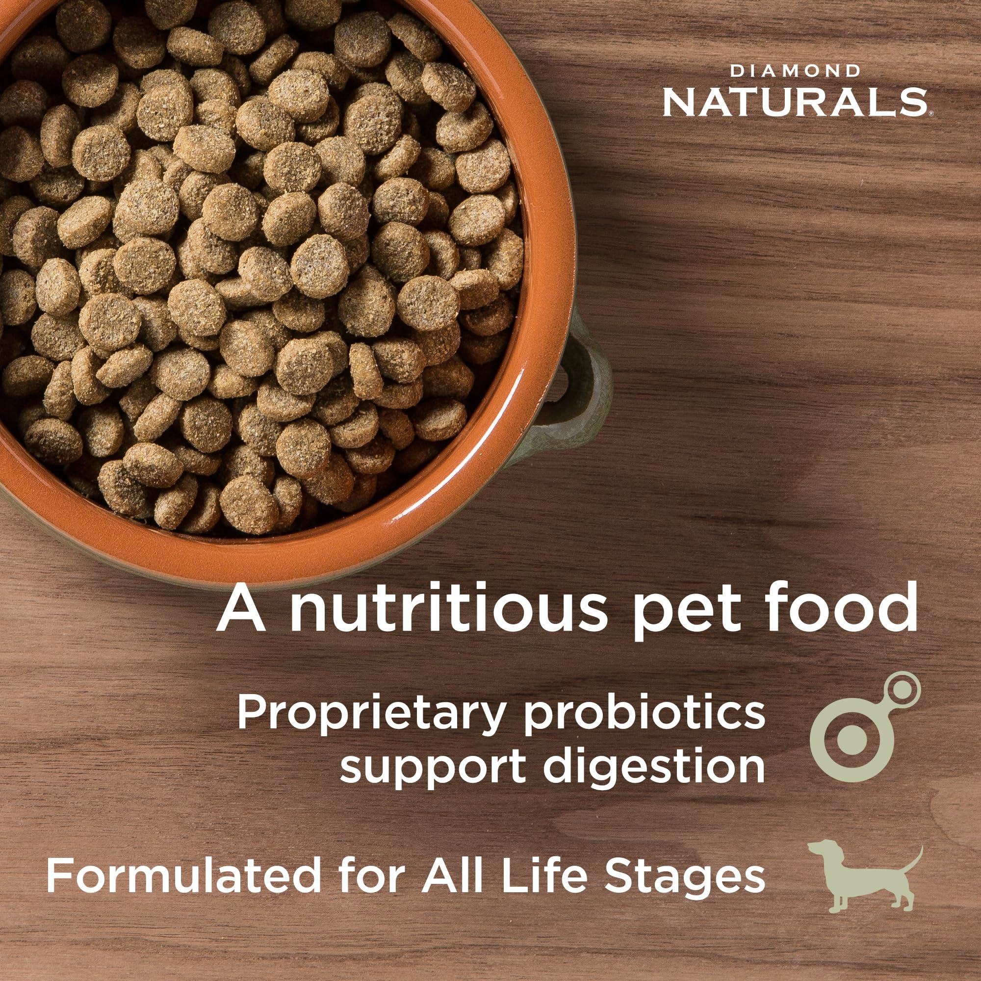 Diamond Naturals chien servie au bol illustrant appétence et pelage sain