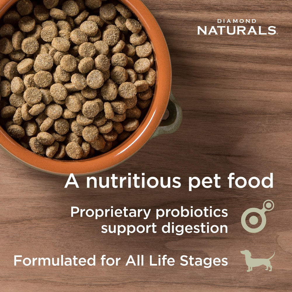 Diamond Naturals chien servie au bol illustrant appétence et pelage sain