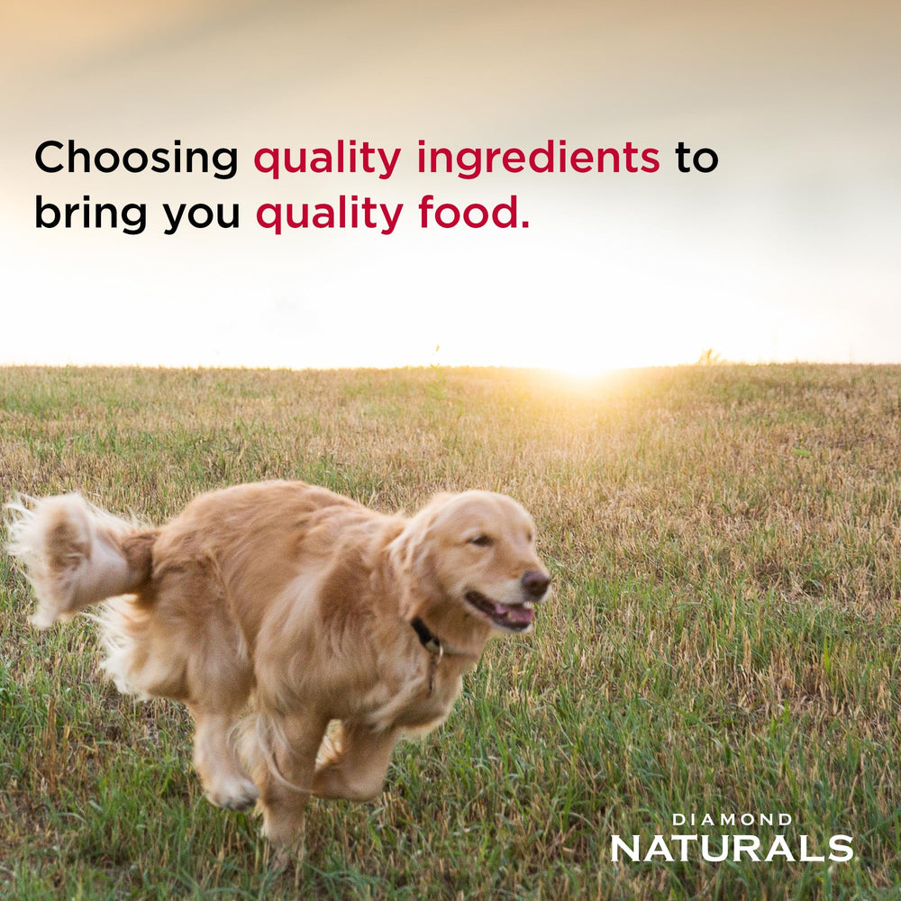 Diamond Naturals comparaison taille boîte à côté d'un chien pour évaluer portion
