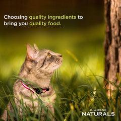 DIAMOND NATURALS comparaison taille main pour portion pratique
