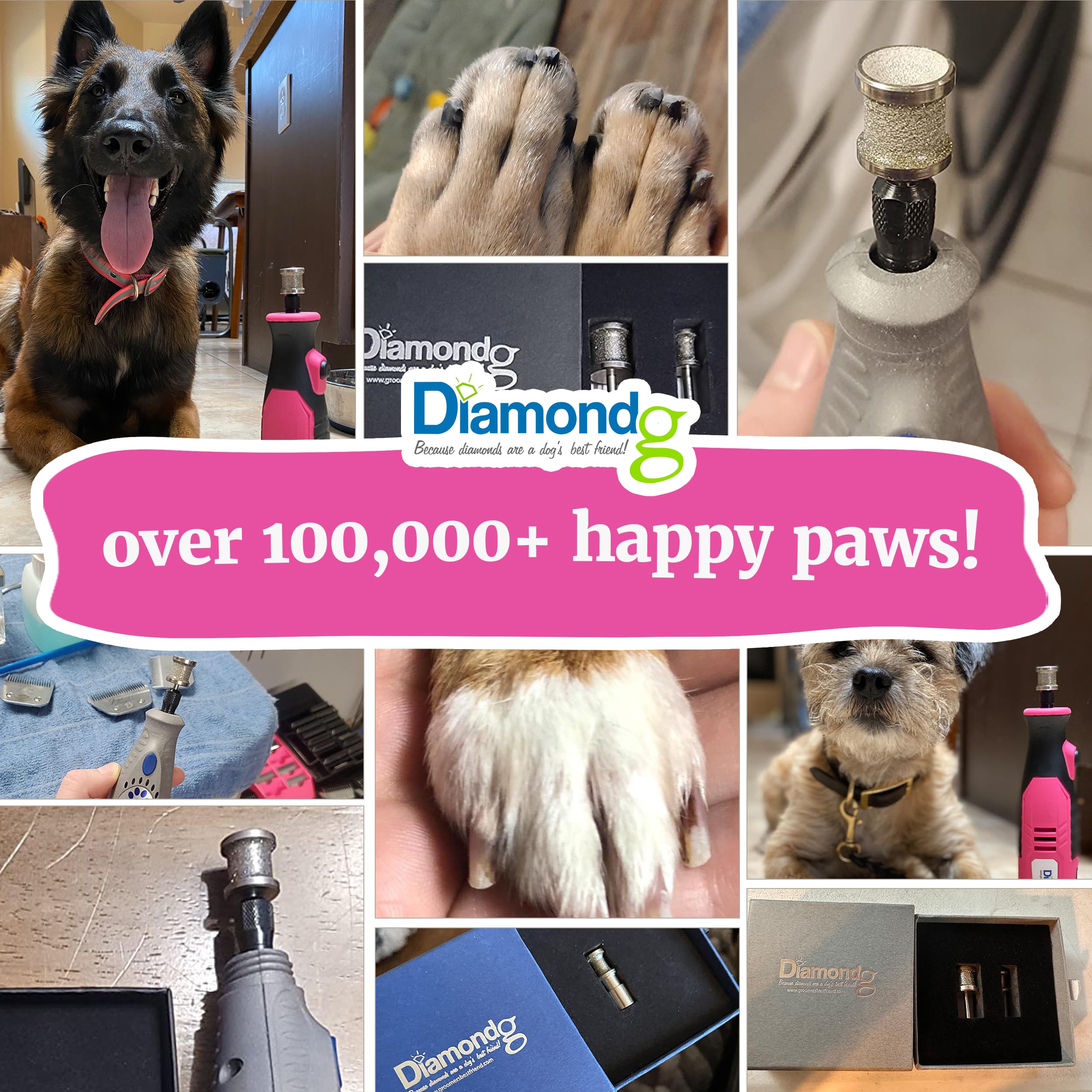 Diamondg utilisé par un toiletteur sur chien, performance professionnelle sécurisée