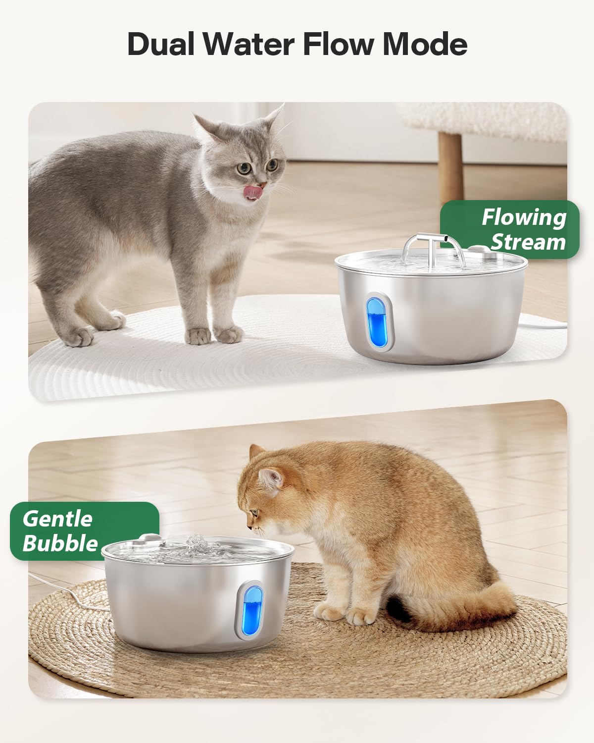 DIANU chat boit à la fontaine encouragé par flux d'eau naturel et attractif