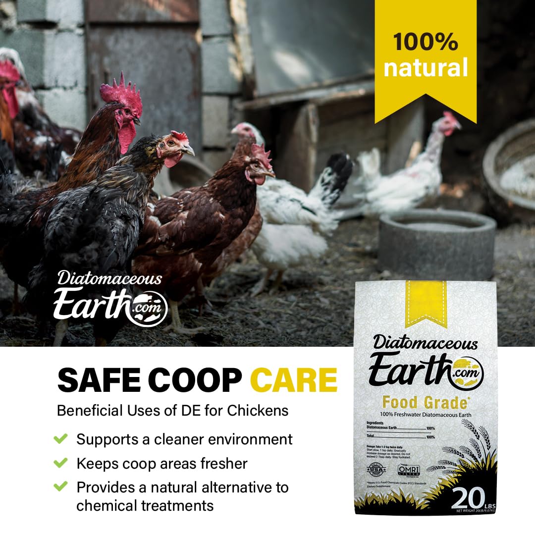 Diatomaceous Earth gros plan de la texture poudreuse montrant pureté et fine granulométrie
