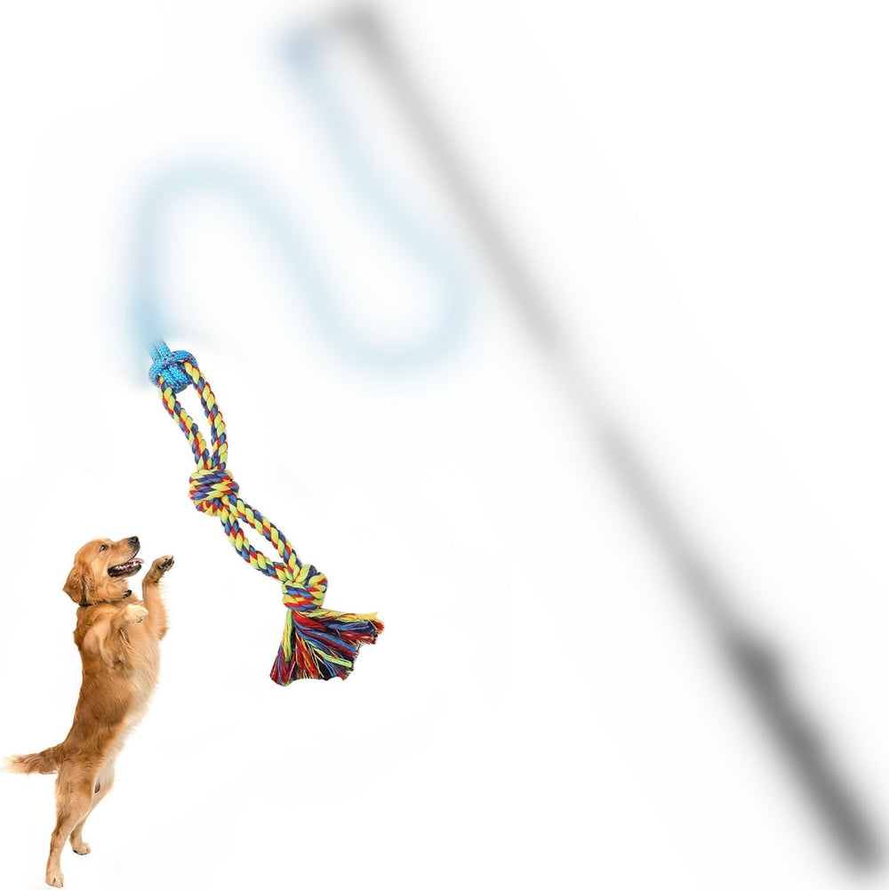 DIBBATU séance de tir à la corde renforçant lien maître-chien