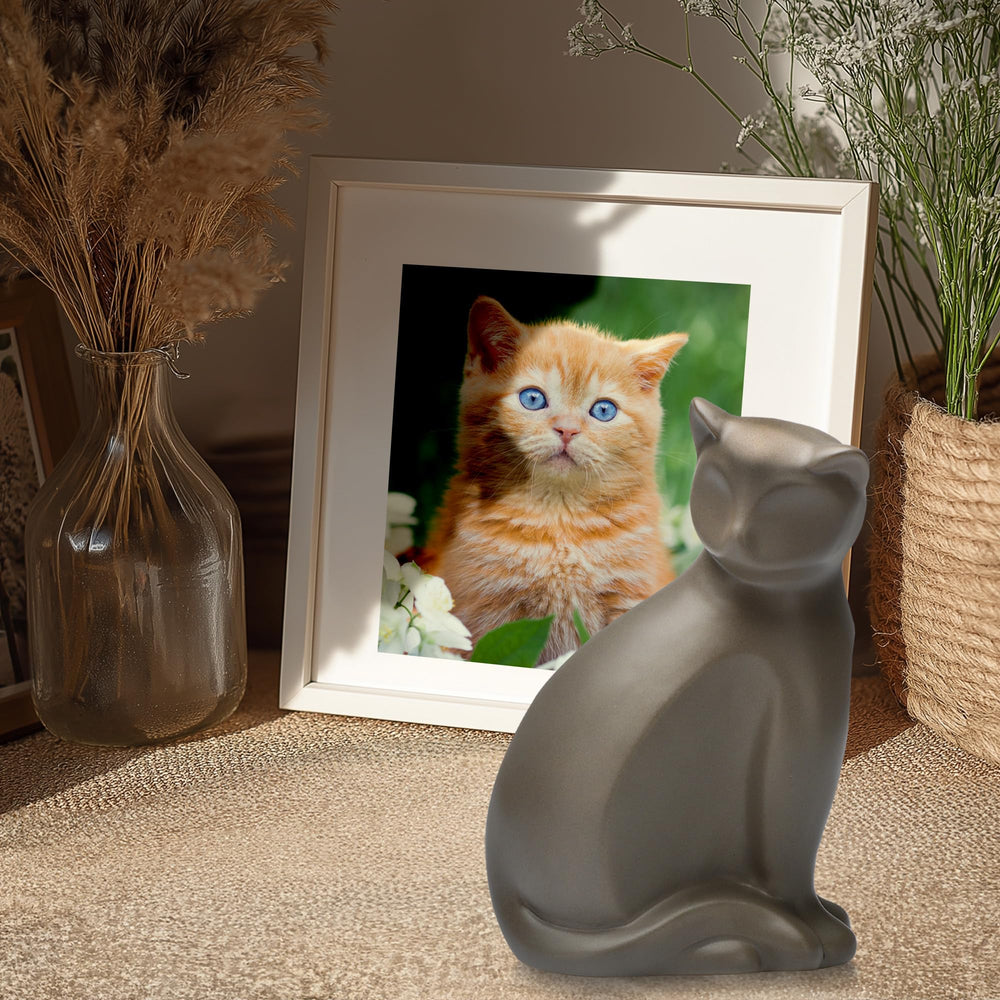 DiDiBirDi urne chat tenue en main, format maniable et respectueux