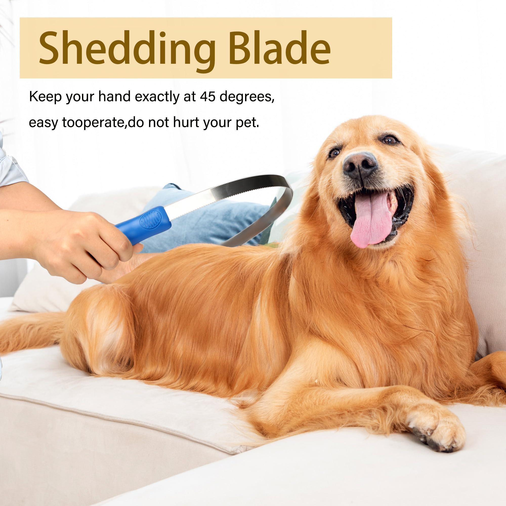DiDiBirDi en action sur chien à poil long pour réduction rapide des nœuds