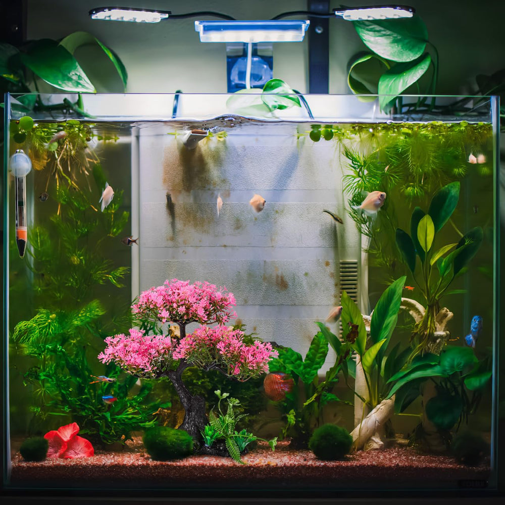 Didiseaon décor installé en aquarium créant ambiance zen