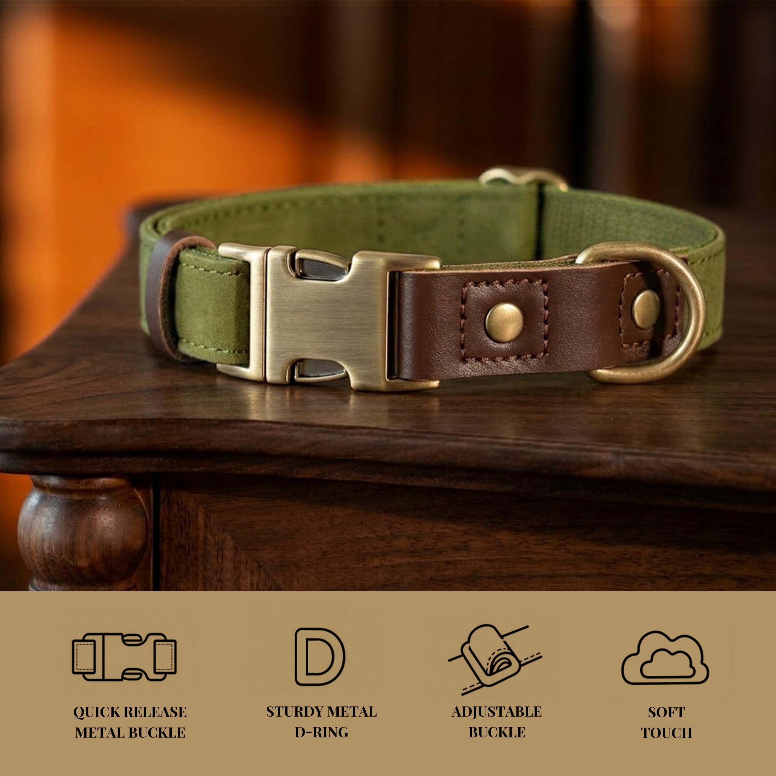 Didog collier anneau en D solide pour attacher la laisse en sécurité
