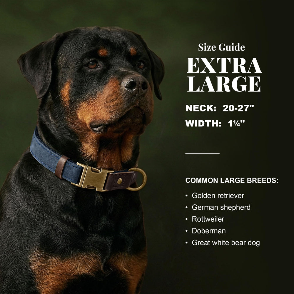 Didog doublure nylon douce gros plan, confort et protection cutanée