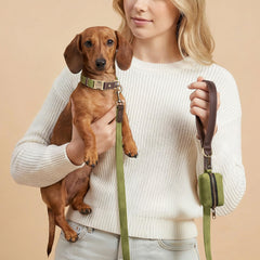 Didog collier gros plan doublure nylon confortable prévenant irritations