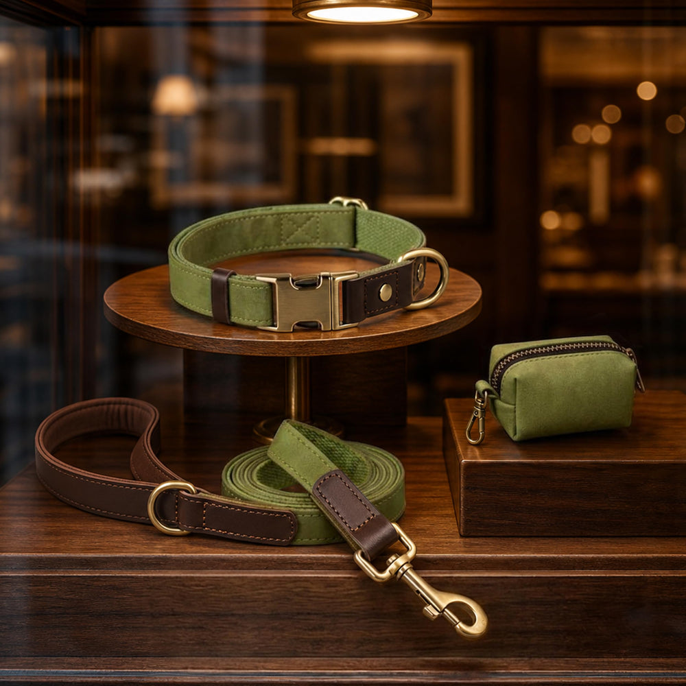 Comparaison de tailles Didog collier S montrant l'ajustement recommandé