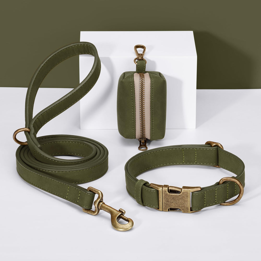 Didog collier porté par un petit chien, maintien confortable en promenade