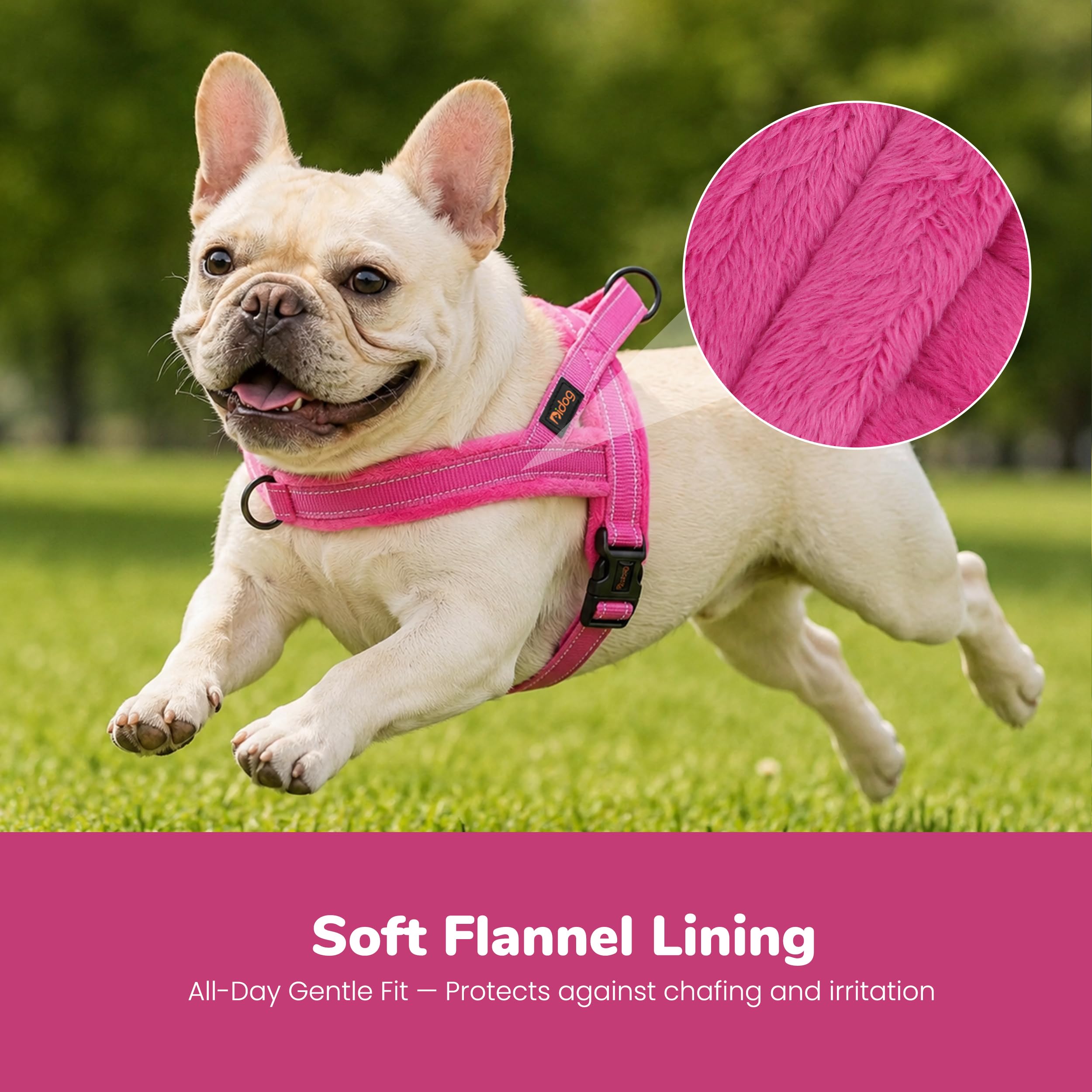 Didog gros plan flanelle rembourrage offrant douceur et protection