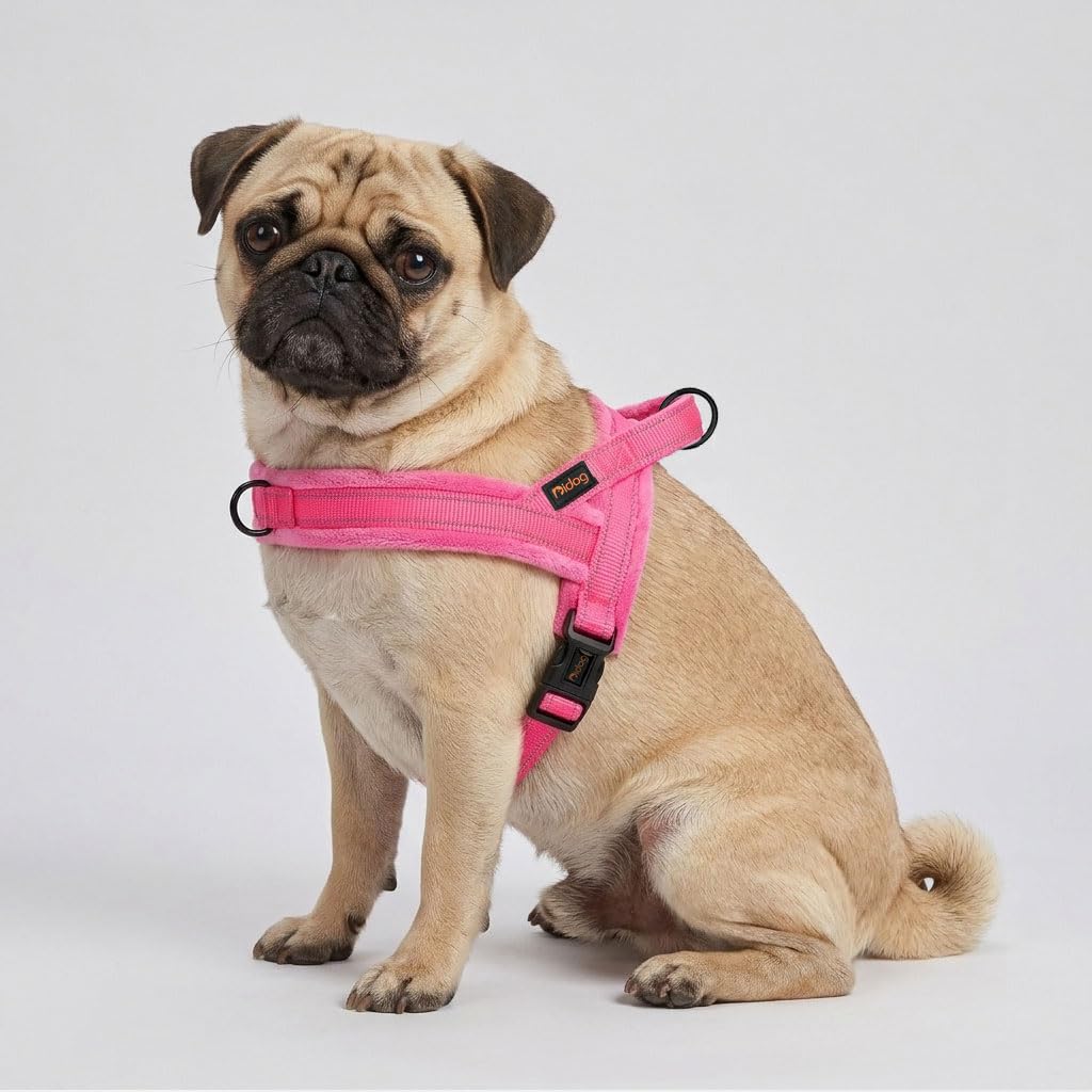 Didog comparaison taille montre échelle pour choisir la bonne taille