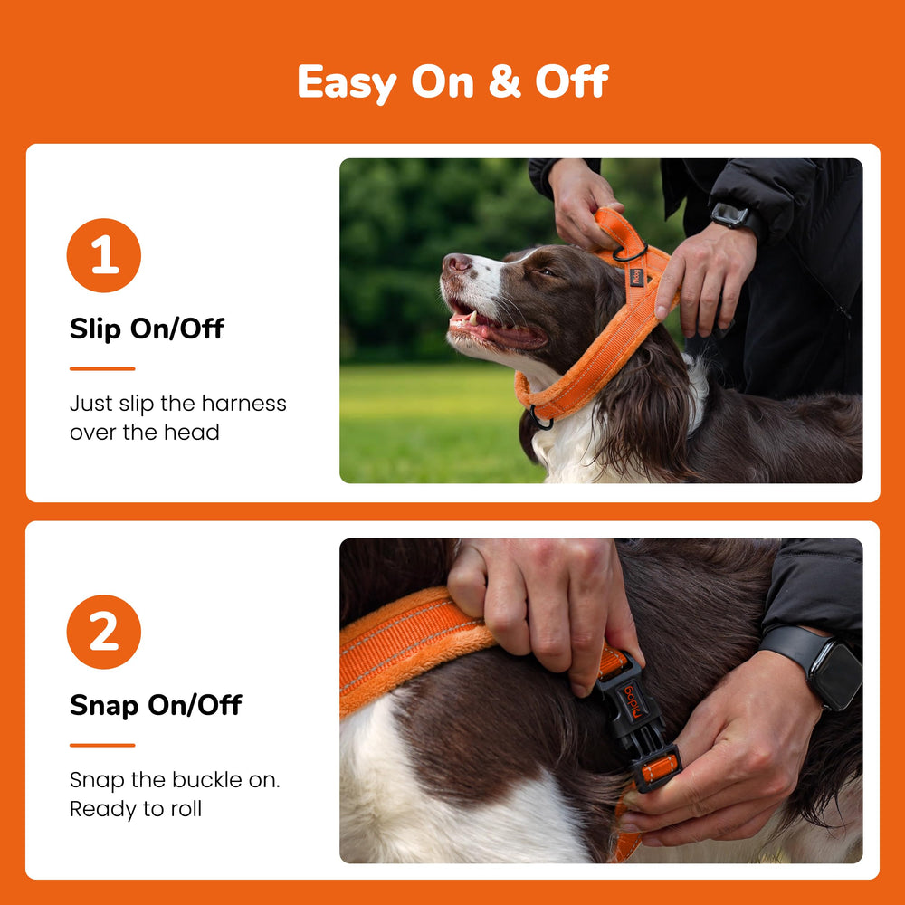 Didog anneau en D frontal soudé pour contrôle sans serrer la gorge
