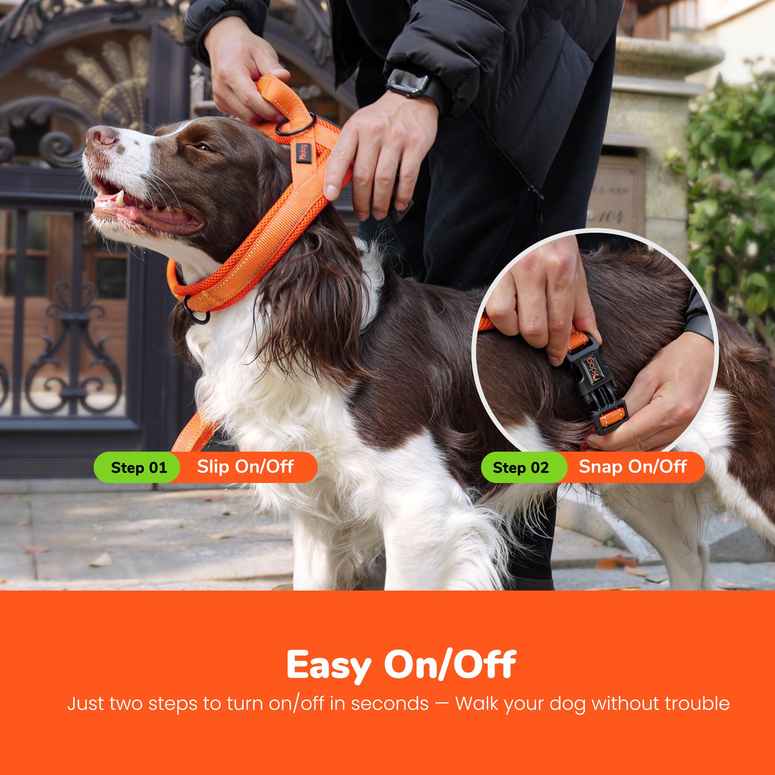 Didog double anneaux D et O pour contrôle anti-traction efficace