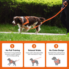 Didog boucle rapide nylon résistante pour enfiler et retirer facilement