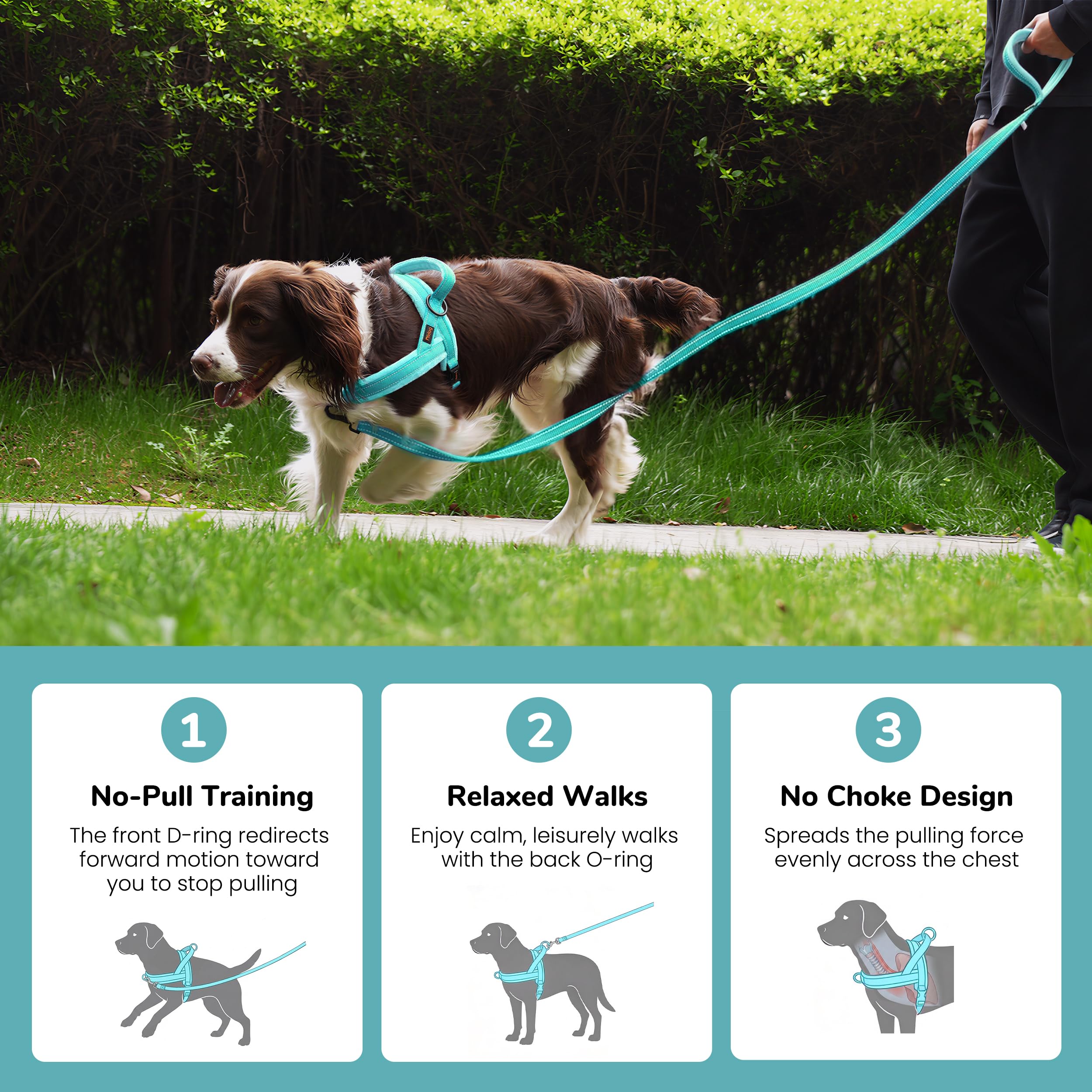 Didog boucle unique facilitant l'enfilage rapide et gain de temps
