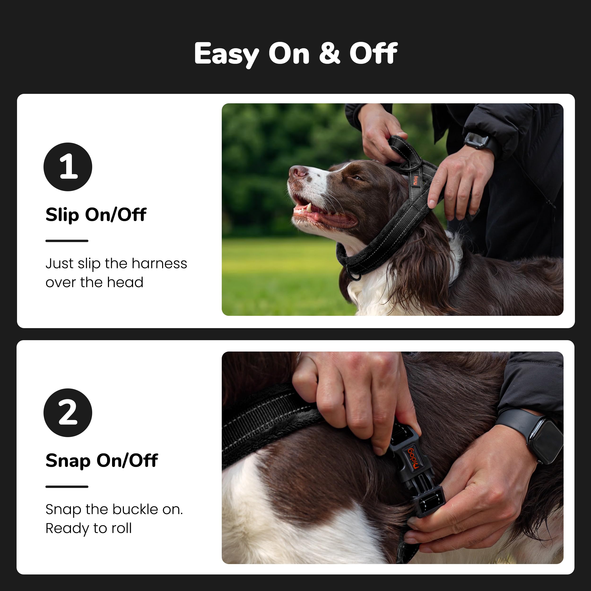 Didog détail de la boucle unique et attache pour enfilage rapide