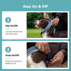 Didog boucle unique facile à utiliser pour enfilage rapide