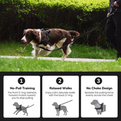 Didog harnais porté par petit chien lors d'une promenade sécurisée