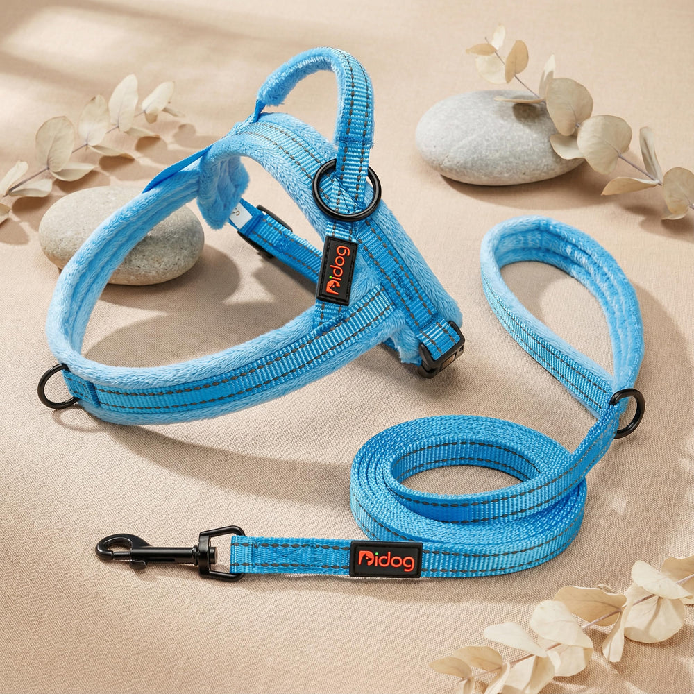 Didog harnais taille comparée avec petit chien pour guidage taille