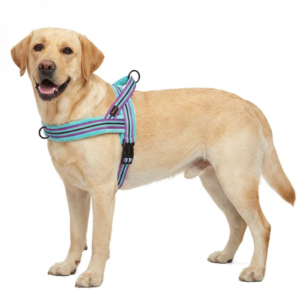 Didog comparaison taille sur règle, choisir la bonne taille facilement