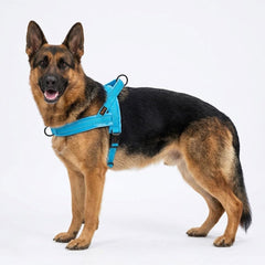 Didog gros plan flanelle douce assurant confort et anti-frottement