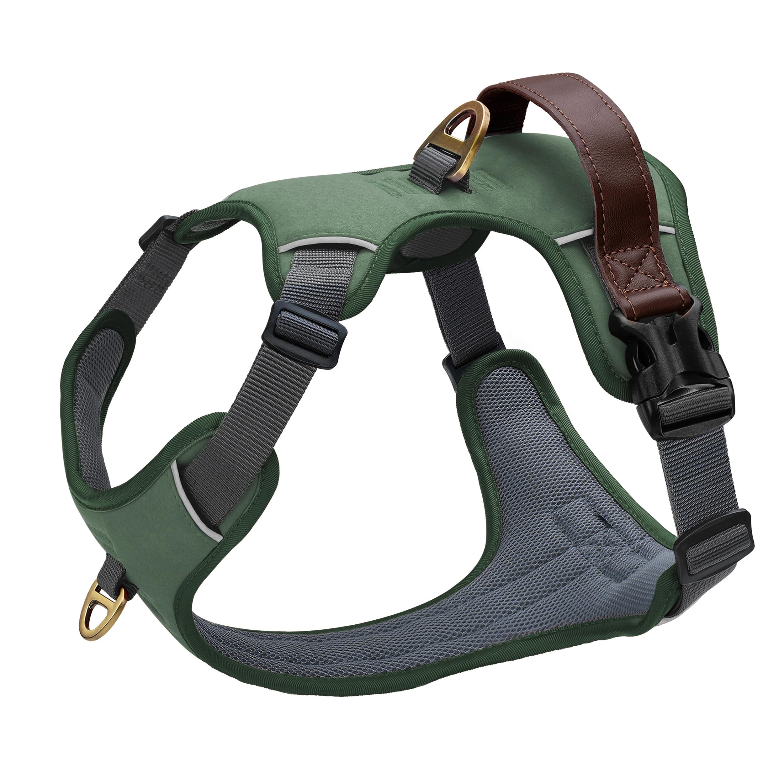 Didog harnais vert face avant pour contrôle et style
