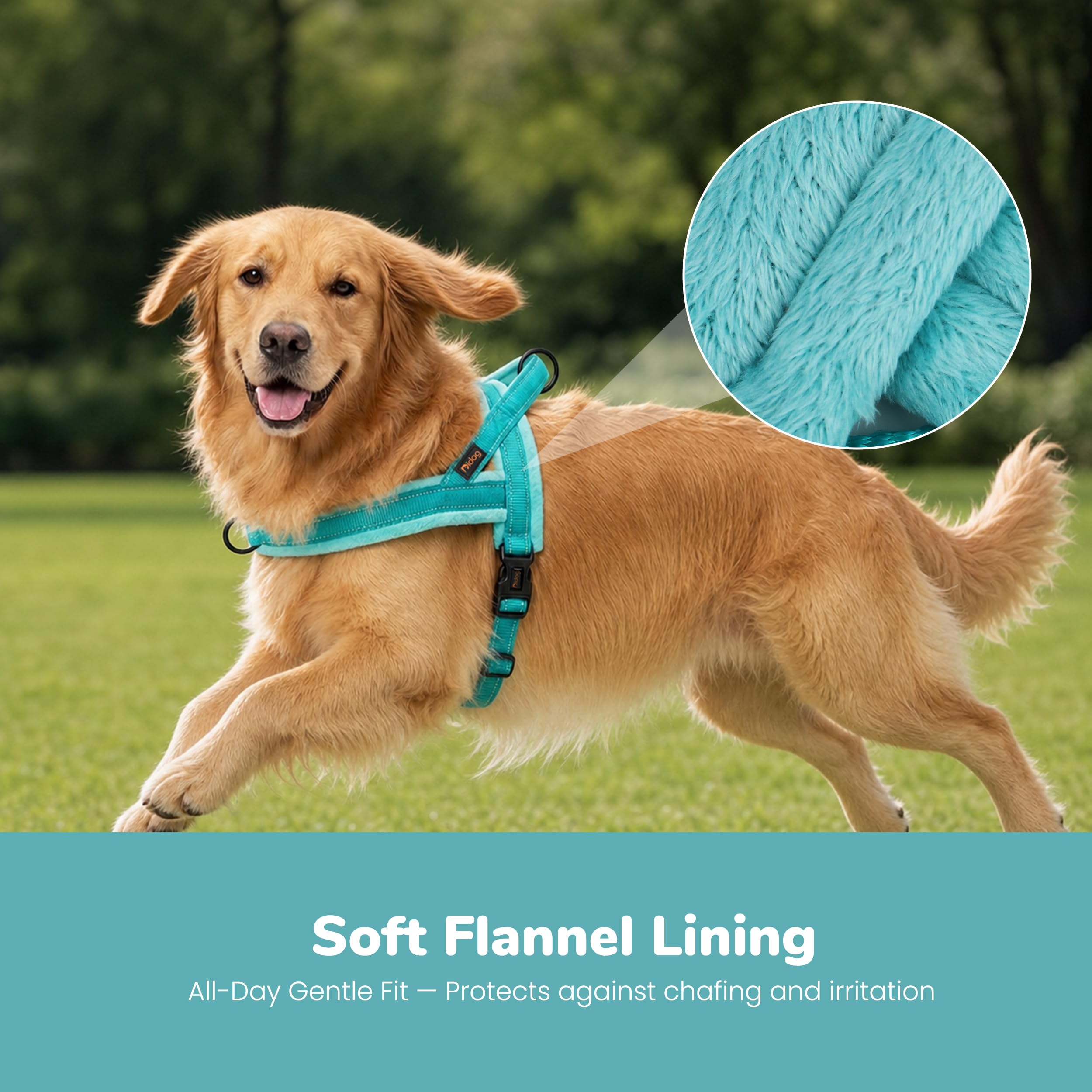 Didog harnais vue arrière avec boucle solide pour une fixation sûre