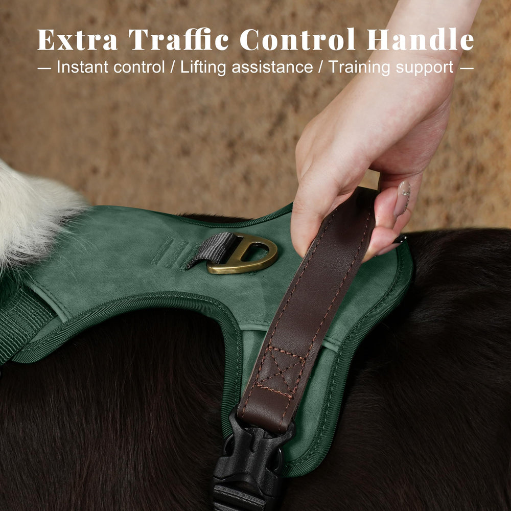 Didog harnais avec laisse et collier assortis pour sorties complètes