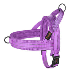 Didog harnais face avant violet montrant la coupe et maintien