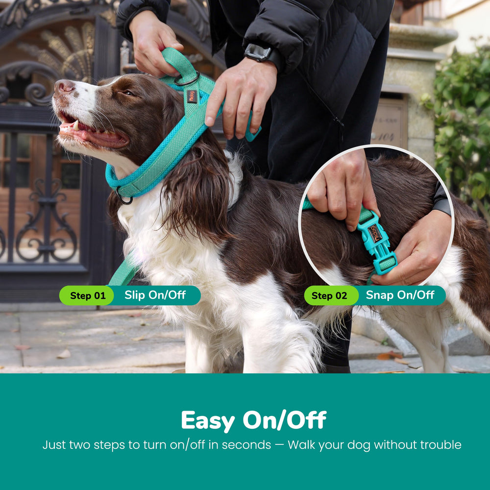 Didog fermeture à une boucle montrant la mise en place rapide