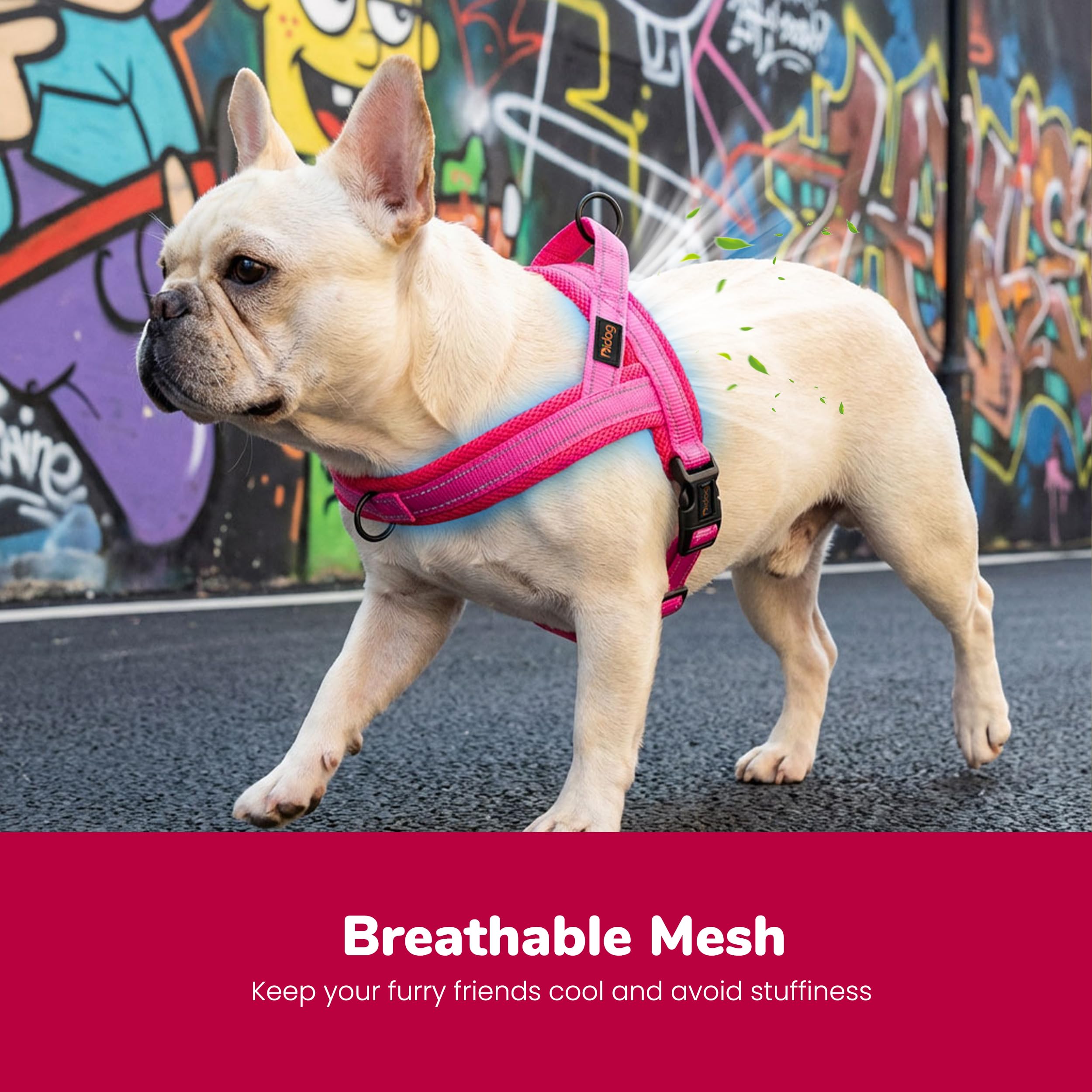 Harnais Didog gros plan mesh respirant apportant fraîcheur et confort