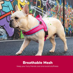 Harnais Didog gros plan mesh respirant apportant fraîcheur et confort