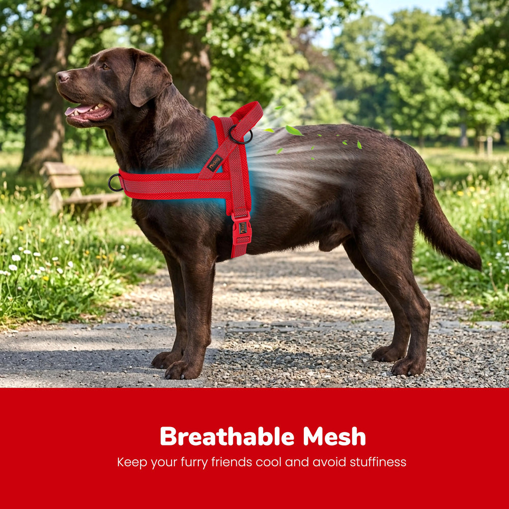 Didog gros plan maille respirante illustrant confort et ventilation