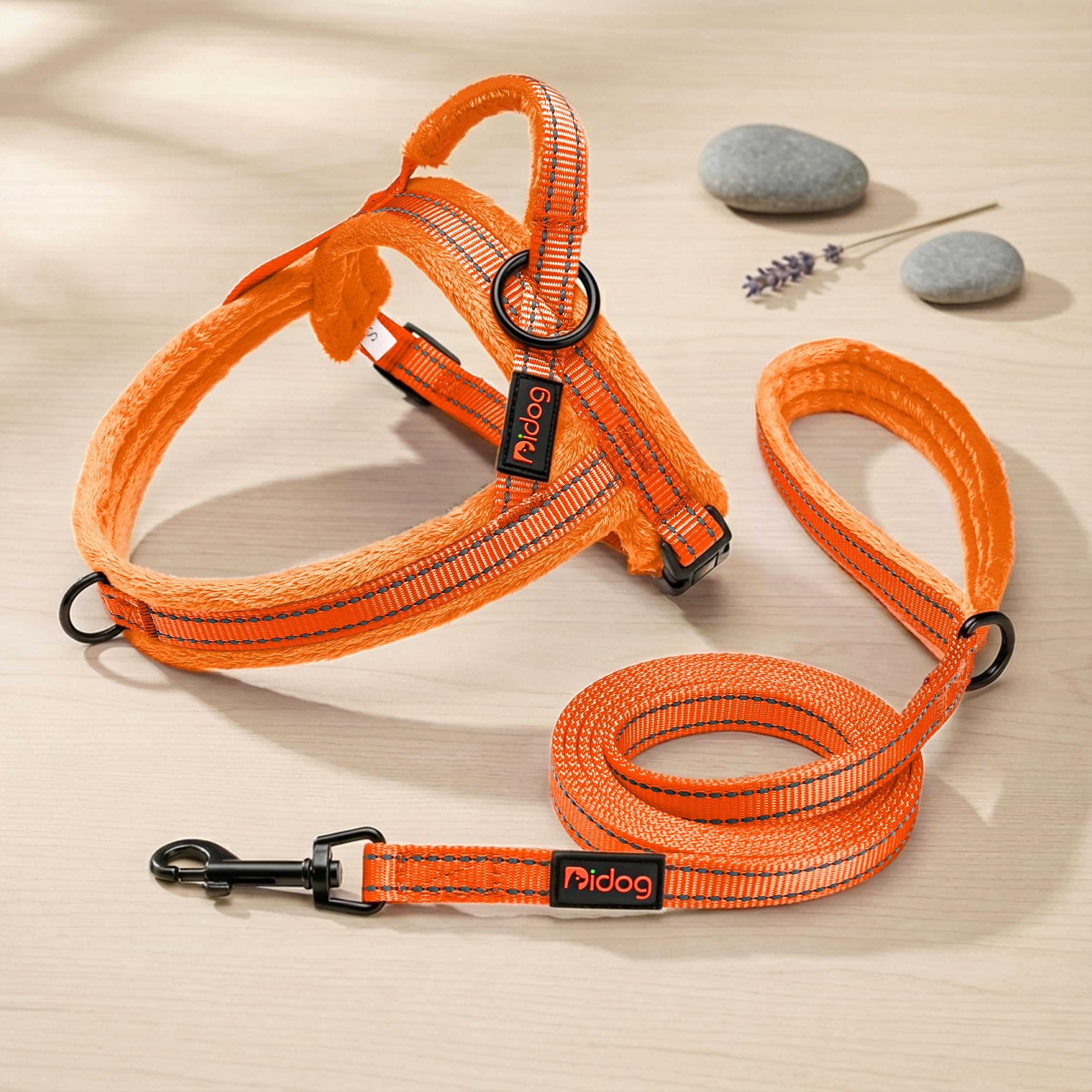 Didog harnais gros plan sangle nylon robuste pour durabilité et entretien facile