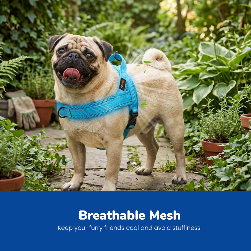 Didog tissu mesh respirant en gros plan pour meilleur aération