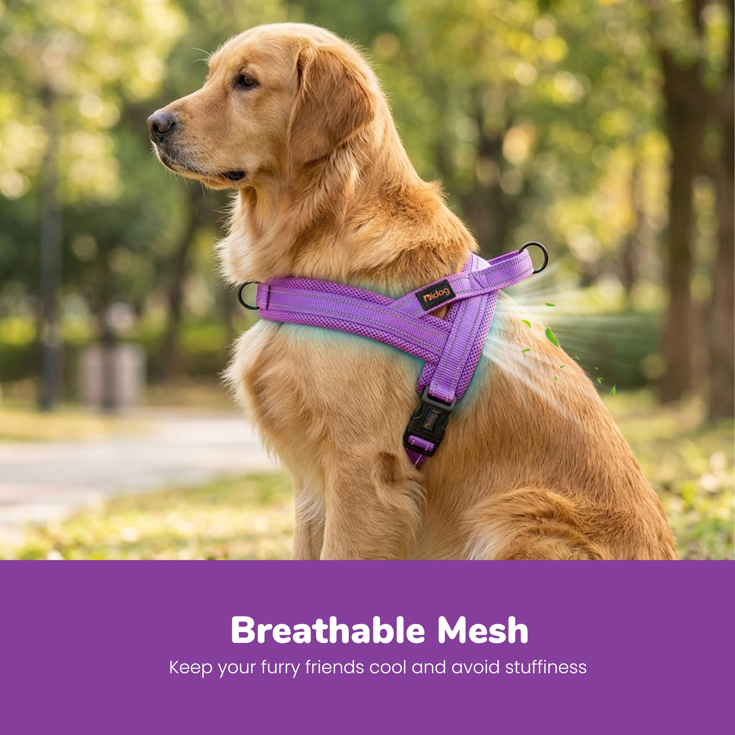 Didog gros plan mesh rembourré pour confort et ventilation