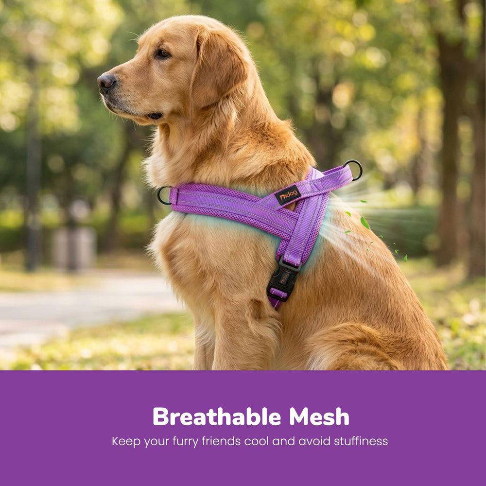 Didog gros plan mesh rembourré pour confort et ventilation