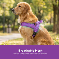 Didog gros plan mesh rembourré pour confort et ventilation
