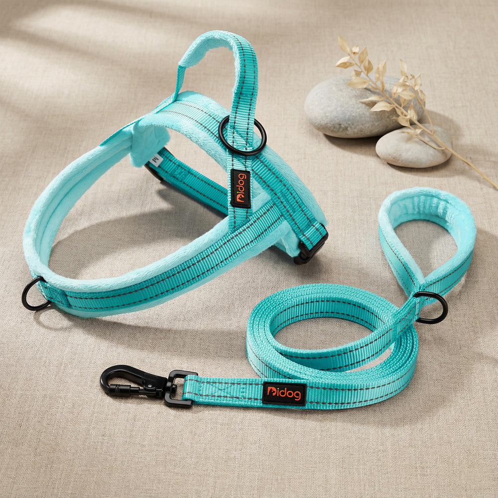 Didog harnais détail sangles nylon robustes pour durabilité au quotidien