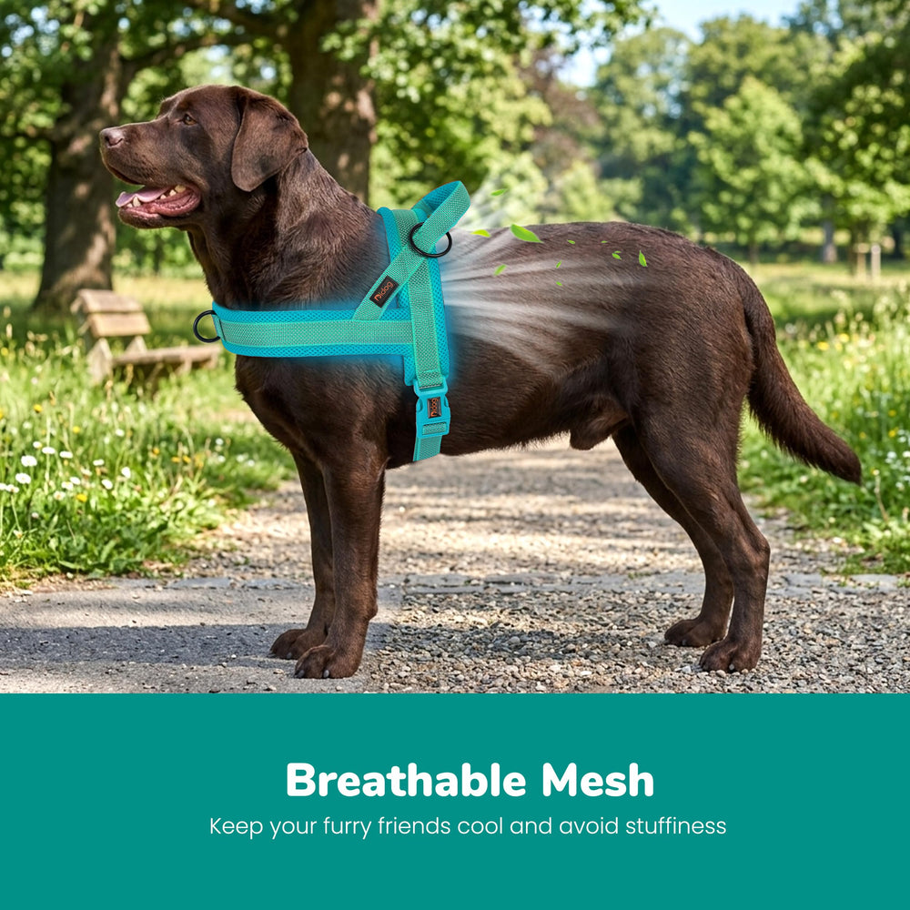 Didog gros plan sur la maille respirante pour confort thermique