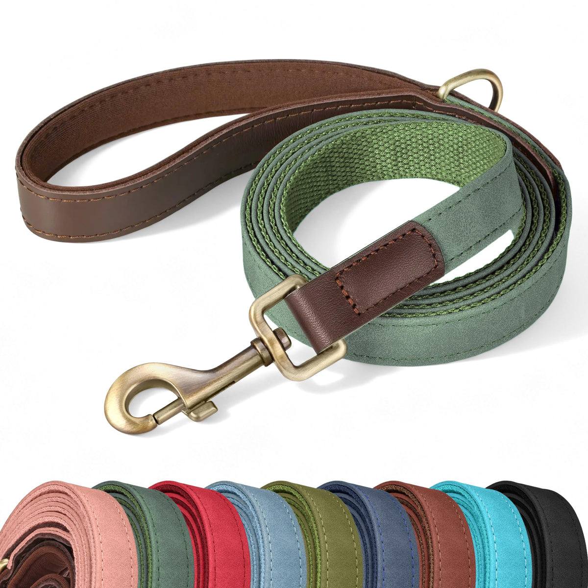 Didog laisse verte face avant montrant longueur et couleur, design pratique